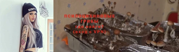 гашик Зеленодольск