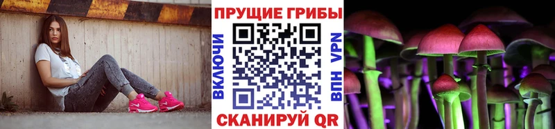 Галлюциногенные грибы Psilocybe  Купить  Дрезна 